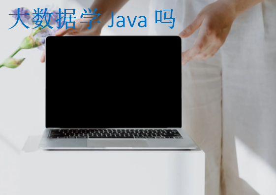 大数据学Java吗