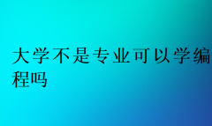 大学不是专业可以学编程吗?