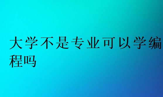 大学不是专业可以学编程吗