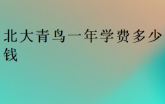 2025年北大青鸟一年学费多少钱?新收费标准更新