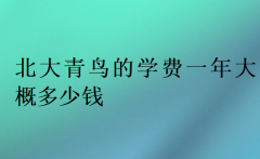 2025北大青鸟的学费一年大概多少钱,新收费标准