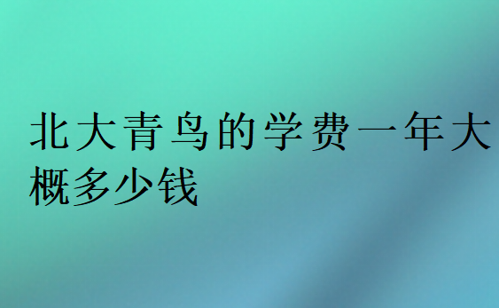 北大青鸟的学费一年大概多少钱